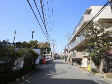 敷地南側の前面道路。建物は南棟。