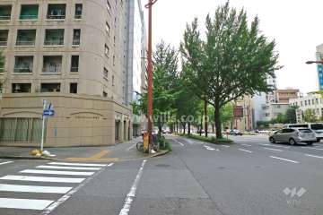 敷地北側には桜通が通っています。