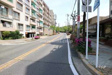 敷地南側の前面道路(西側から)