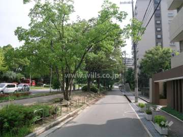 敷地の東側は街路樹の美しい吹田箕面線です。