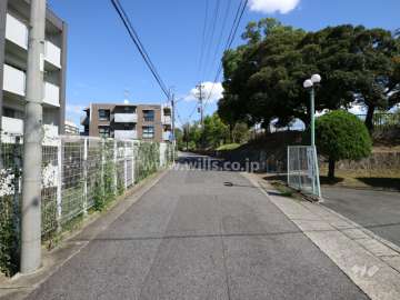 敷地北側の前面道路（西側から）