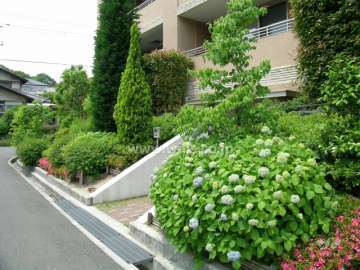 マンションの外観