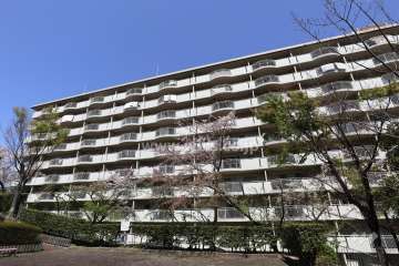 コミュニタス千代が丘N棟の外観（南東側から）