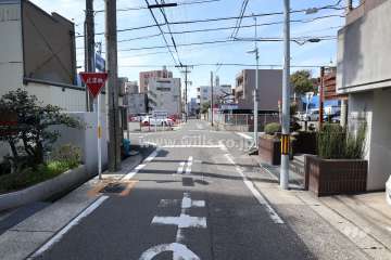 敷地北側の前面道路（西側から）