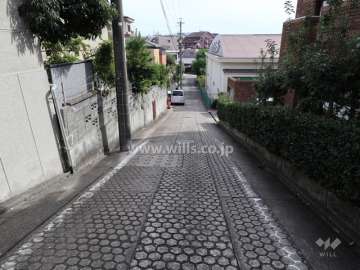 敷地東側の前面道路(北側から)