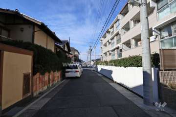 敷地南側の前面道路（東側から）