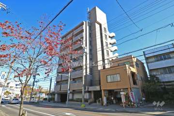 ヴェルビュ自由ケ丘の外観（北西側から）