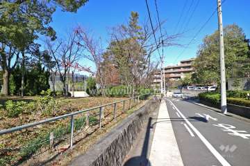 敷地南西側の前面道路２（写真左手に揚羽公園があります）