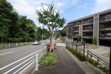周辺には緑があります