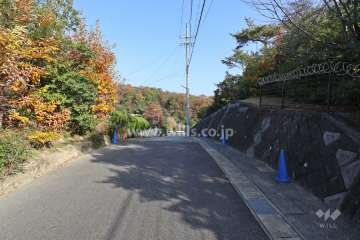 敷地北側の前面道路（西側から）