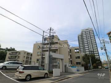 敷地北側の前面道路（西側から）