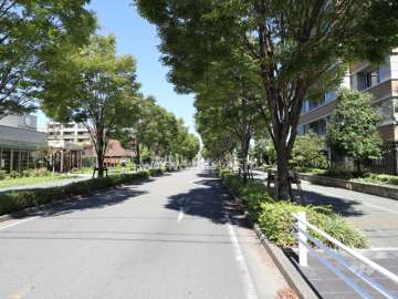 敷地西側の前面道路（南側から）