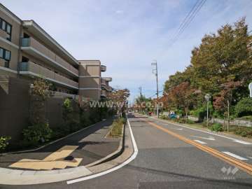 敷地の北東側前面道路（南東側から）