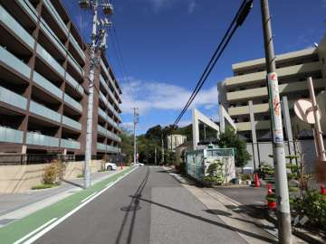 敷地南側の前面道路(西側から)
