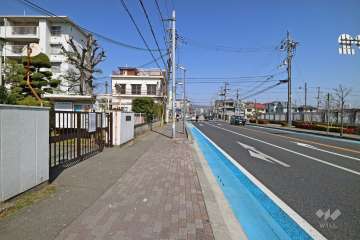 敷地東側の前面道路（南側から）
