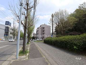 遠景(西側から)