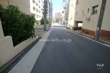 敷地の南側前面道路（西側から）