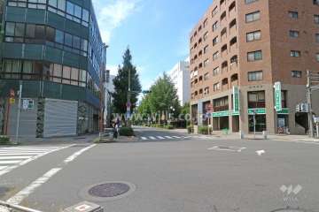 敷地南側の前面道路（東側から）
