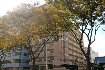 大須土方ドリームマンションの外観（北東側から）