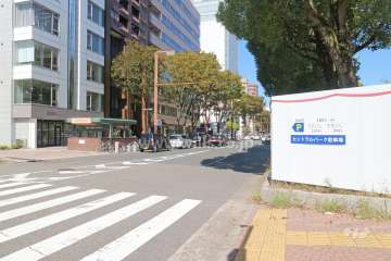 敷地南側の前面道路（東側から）