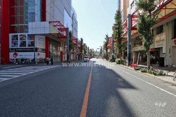敷地東側の前面道路（北側から）