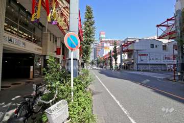 敷地東側の前面道路（南側から）
