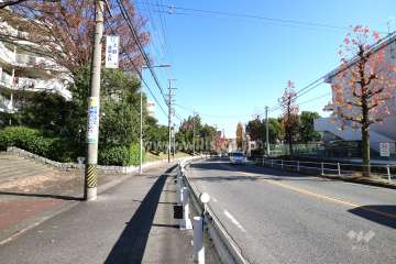 敷地南側の前面道路