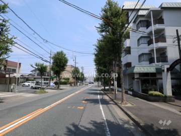 敷地北側の前面道路（西側から）