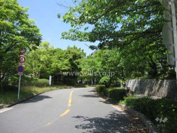 敷地西側の前面道路