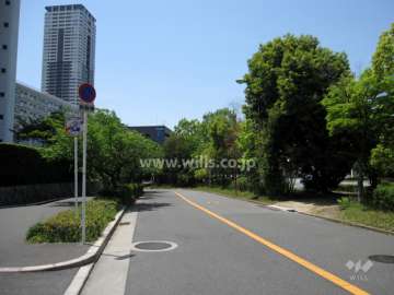 敷地北側の前面道路