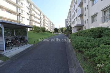 敷地北側の前面道路