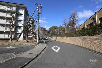 敷地東側の前面道路（南側から）