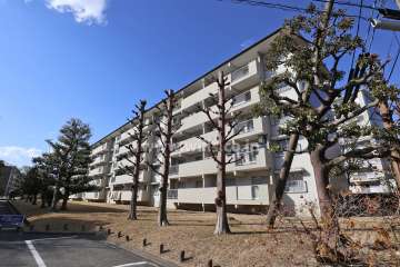 藤の木団地8号棟の外観（南東側から）