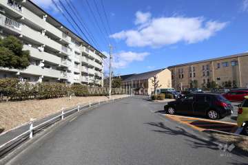 敷地南東側の前面道路（南西側から）