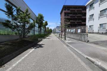 敷地西側の前面道路（南側から）