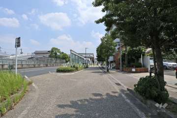 敷地東側の前面道路（北側から）