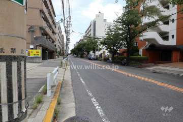 敷地北側の前面道路（西側から）