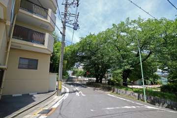 敷地の東側前面道路