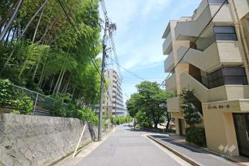 敷地の北側前面道路