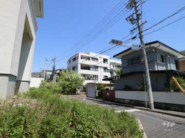 三井農林星ヶ丘ハイツの遠景