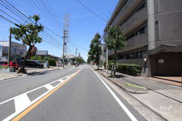 敷地北東側の前面道路（南東側から）