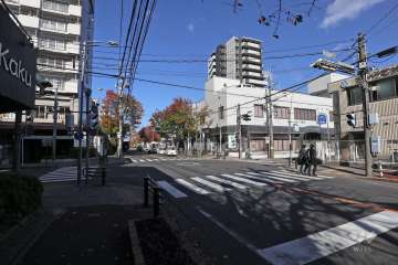 ローレルコート藤が丘ヴィスタの遠景。敷地西側は店舗やマンションなどが混在しています。