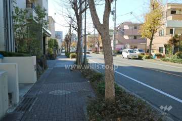 敷地西側の前面道路