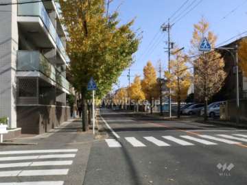 敷地の前面道路