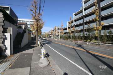 敷地西側前面道路