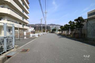 敷地東側の前面道路