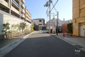 敷地南側の前面道路（西側から）