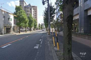敷地の東側前面道路（南側から）