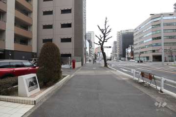 敷地南側の前面道路（錦通）