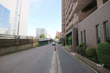 敷地北側の前面道路（西側から）
